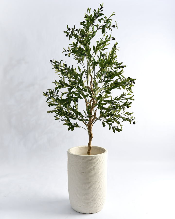 White "Planter" - Pot